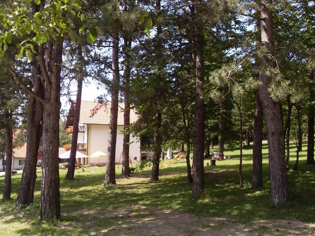 Guest House Colovic Златибор Екстериор снимка